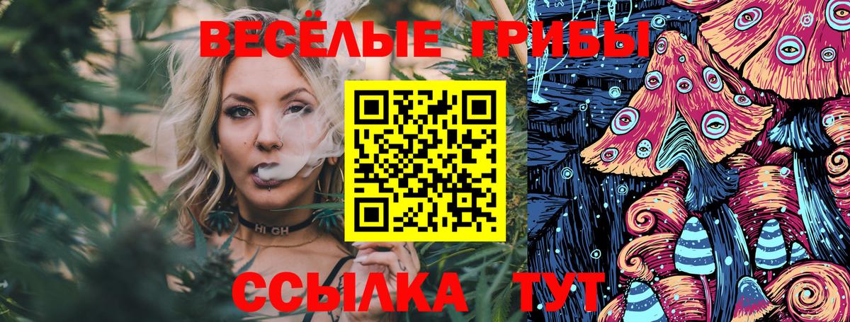 Галлюциногенные грибы Cubensis Заводоуковск