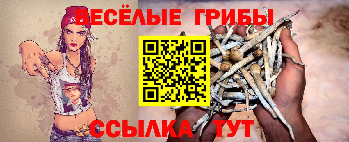 Заводоуковск  Галлюциногенные грибы Magic Shrooms  Вход с VPN 